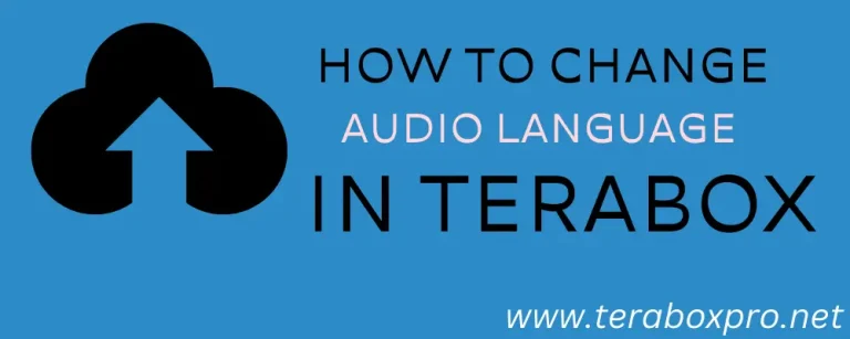 How to Change Audio Language in Terabox? Easy Method in 2024